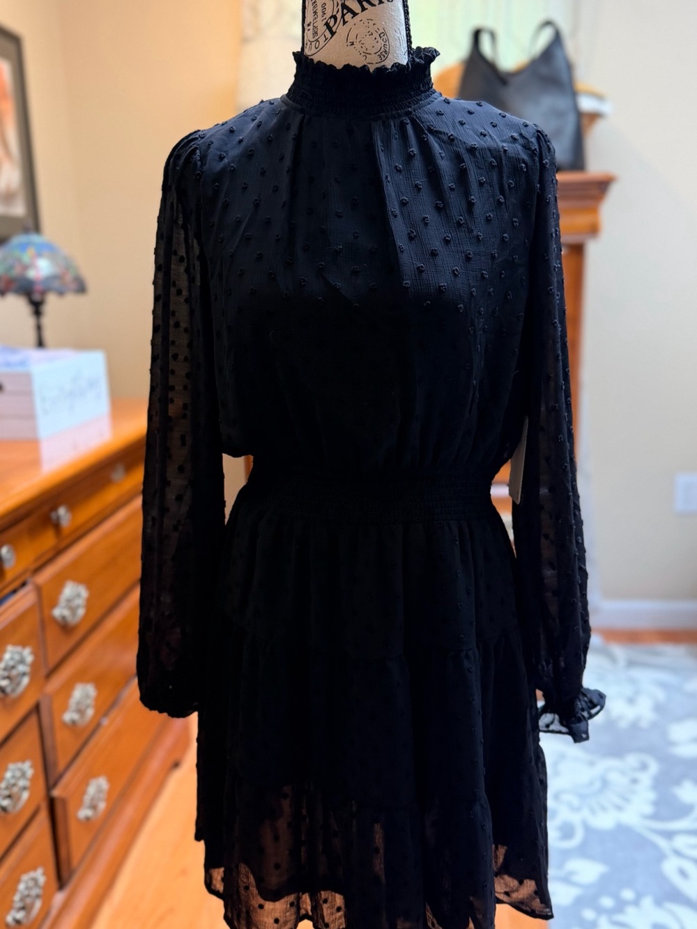 Sweet Wanderer Black Swiss Dot High-Neck Long Sleeve Mini Dress